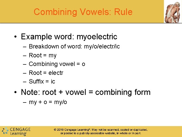 Combining Vowels: Rule • Example word: myoelectric – – – Breakdown of word: my/o/electr/ic