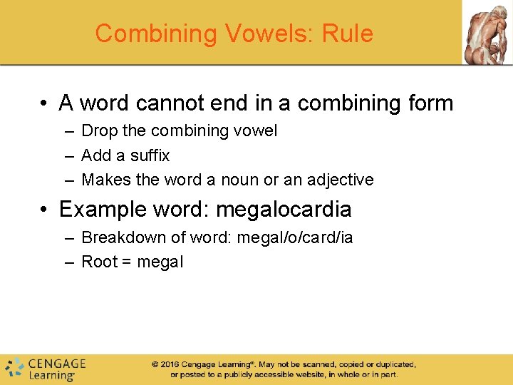 Combining Vowels: Rule • A word cannot end in a combining form – Drop