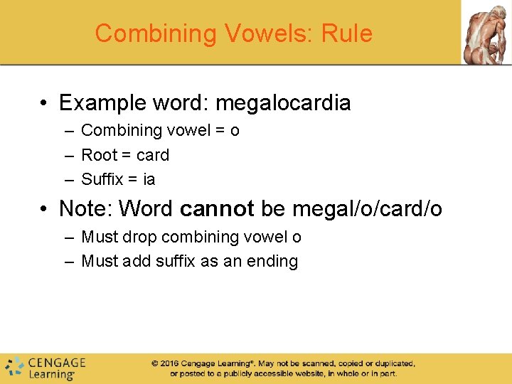 Combining Vowels: Rule • Example word: megalocardia – Combining vowel = o – Root