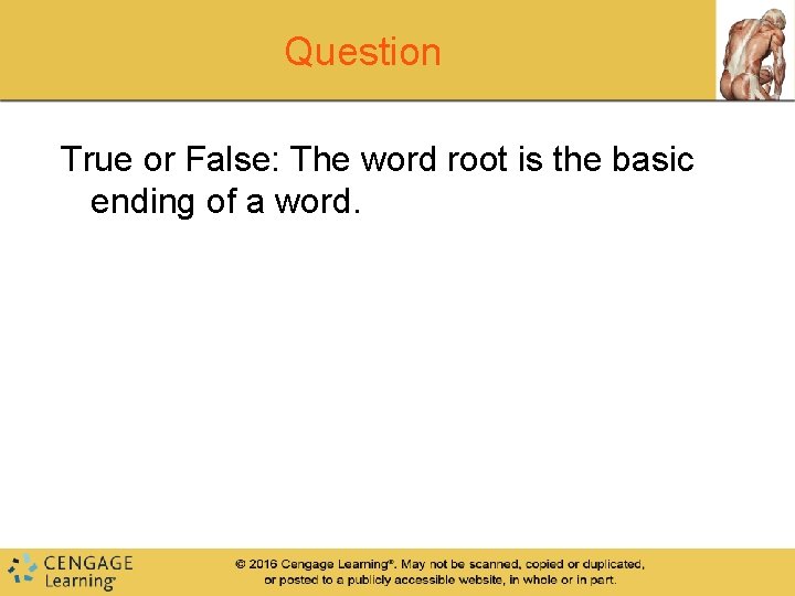 Question True or False: The word root is the basic ending of a word.