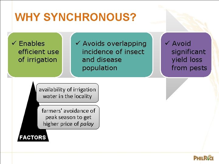 WHY SYNCHRONOUS? Enables efficient use of irrigation Avoids overlapping incidence of insect and disease