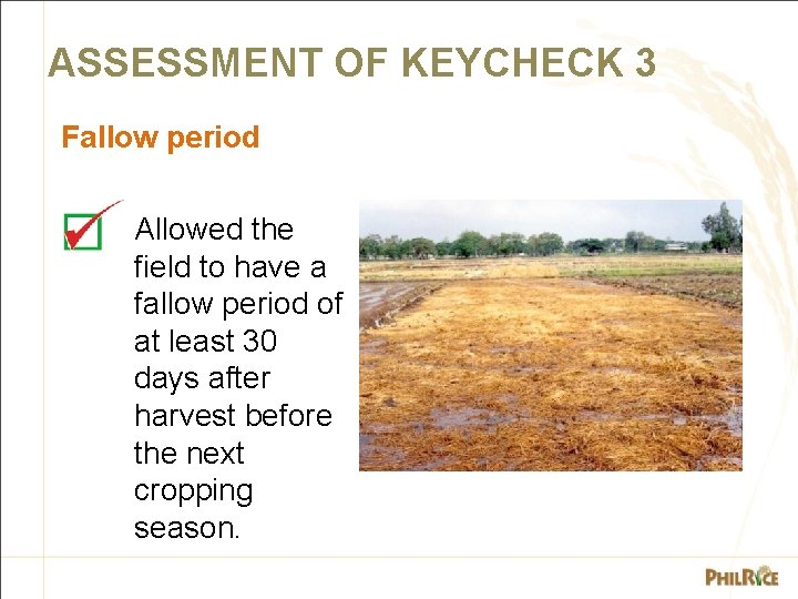 ASSESSMENT OF KEYCHECK 3 Fallow period Allowed the field to have a fallow period