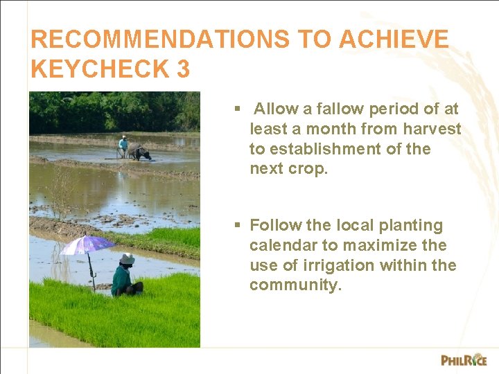 RECOMMENDATIONS TO ACHIEVE KEYCHECK 3 § Allow a fallow period of at least a