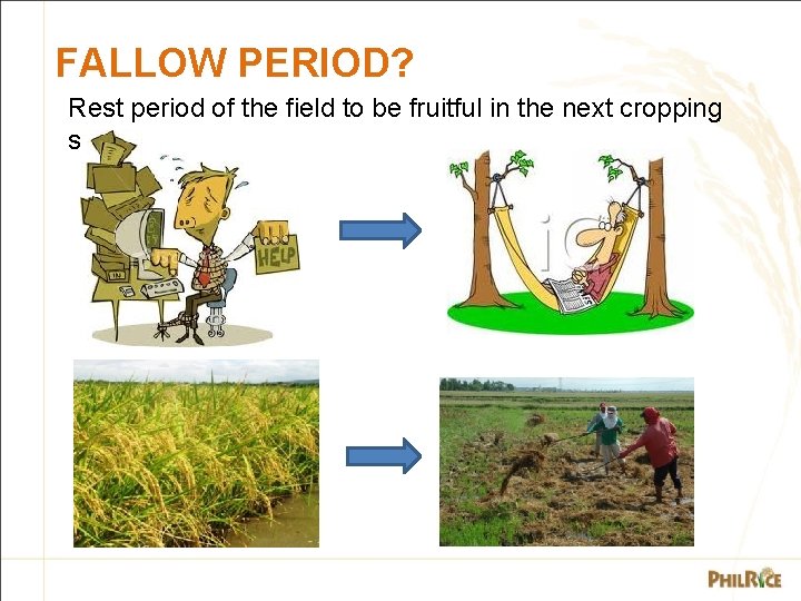 FALLOW PERIOD? Rest period of the field to be fruitful in the next cropping