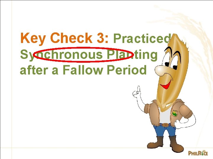 Key Check 3: Practiced Synchronous Planting after a Fallow Period 