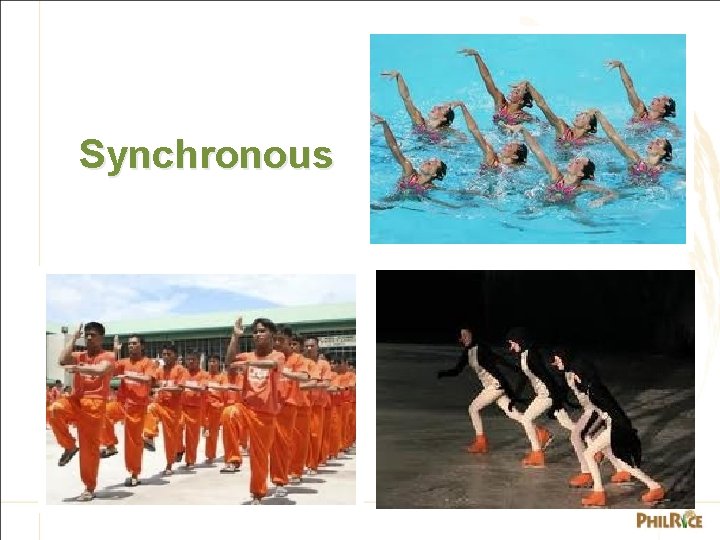 Synchronous 