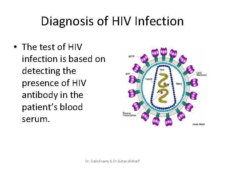 Diagnosis of HIV Infection • The test of HIV infection is based on detecting