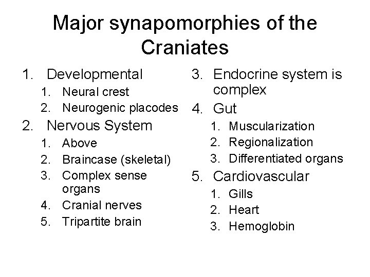 Major synapomorphies of the Craniates 1. Developmental 3. Endocrine system is complex 1. Neural