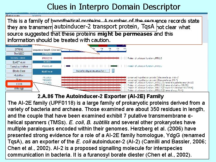 Clues in Interpro Domain Descriptor This is a family of hypothetical proteins. A number