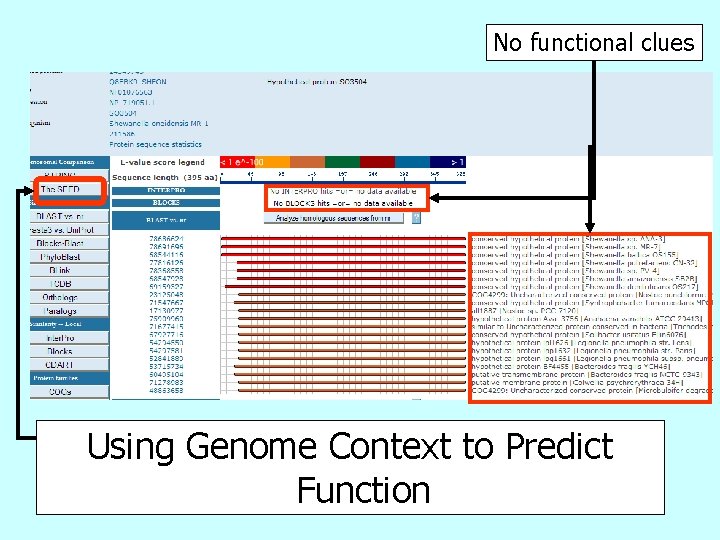 No functional clues Using Genome Context to Predict Function 