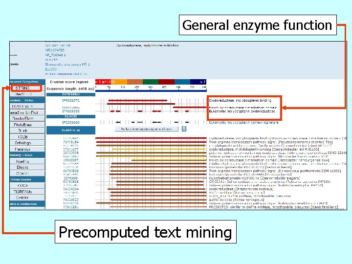 General enzyme function Precomputed text mining 