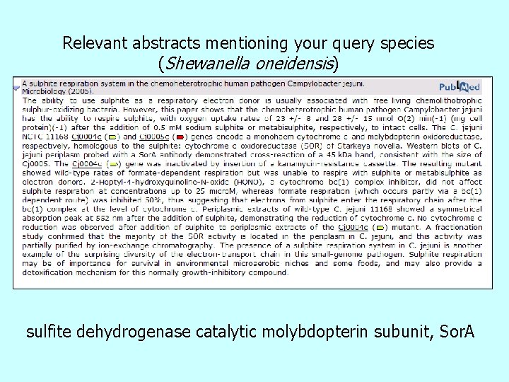Relevant abstracts mentioning your query species (Shewanella oneidensis) sulfite dehydrogenase catalytic molybdopterin subunit, Sor.