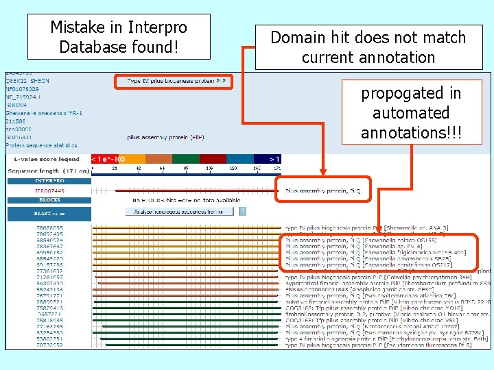 Mistake in Interpro Database found! Domain hit does not match current annotation propogated in