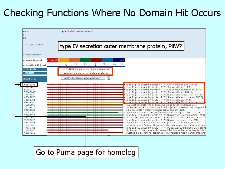 Checking Functions Where No Domain Hit Occurs type IV secretion outer membrane protein, Pil.
