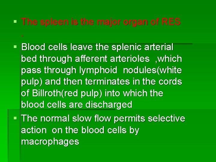 § The spleen is the major organ of RES. § Blood cells leave the
