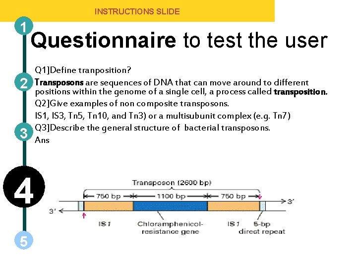 INSTRUCTIONS SLIDE 1 Questionnaire to test the user • 2 • • 3 •