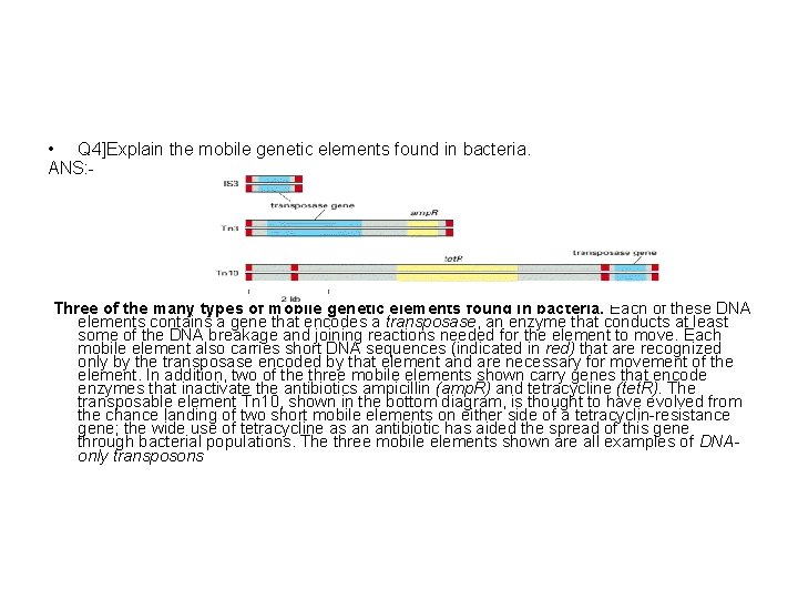  • Q 4]Explain the mobile genetic elements found in bacteria. ANS: - Three