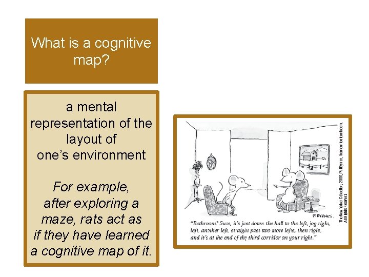 What is a cognitive map? a mental representation of the layout of one’s environment