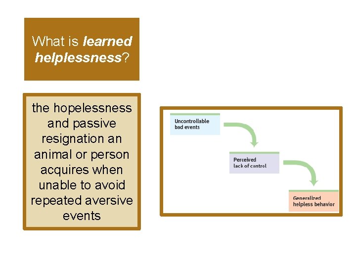 What is learned helplessness? the hopelessness and passive resignation an animal or person acquires