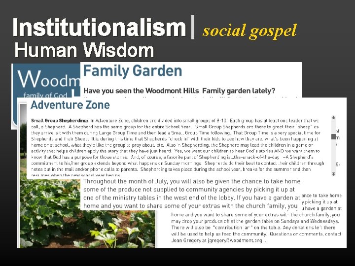 Institutionalism Human Wisdom social gospel 