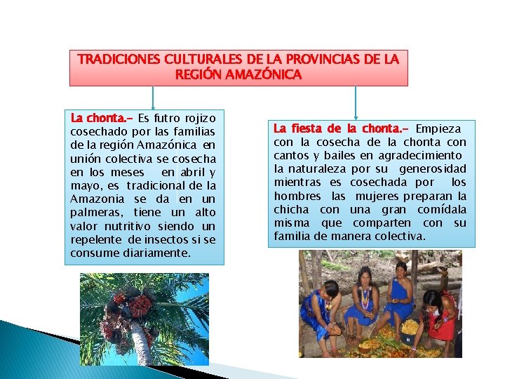 TRADICIONES CULTURALES DE LA PROVINCIAS DE LA REGIÓN AMAZÓNICA La chonta. - Es futro