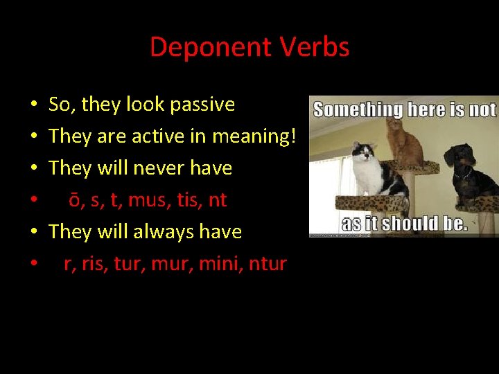 Deponent Verbs • • • So, they look passive They are active in meaning!