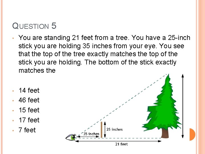 QUESTION 5 • You are standing 21 feet from a tree. You have a