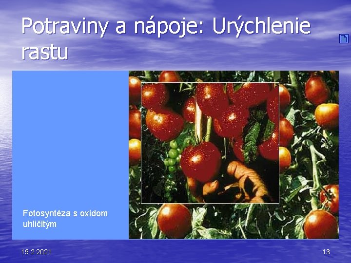 Potraviny a nápoje: Urýchlenie rastu Fotosyntéza s oxidom uhličitým 19. 2. 2021 13 