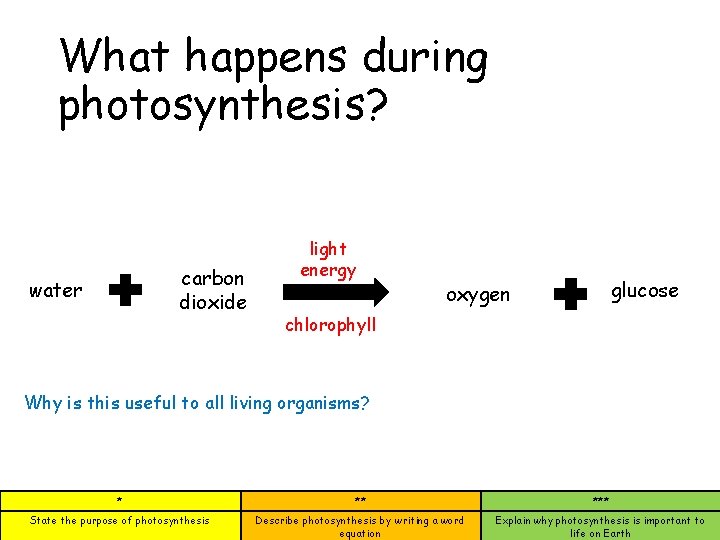 What happens during photosynthesis? carbon dioxide water light energy glucose oxygen chlorophyll Why is