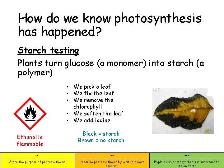 How do we know photosynthesis happened? Starch testing Plants turn glucose (a monomer) into