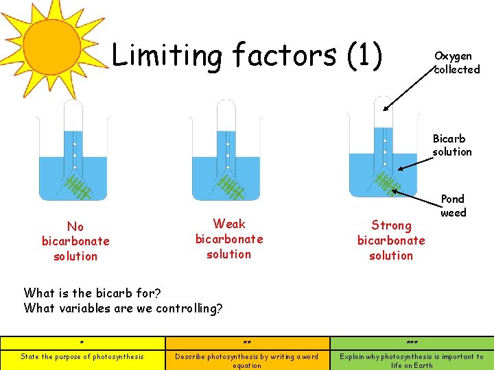 Limiting factors (1) Oxygen collected Bicarb solution No bicarbonate solution Weak bicarbonate solution Strong