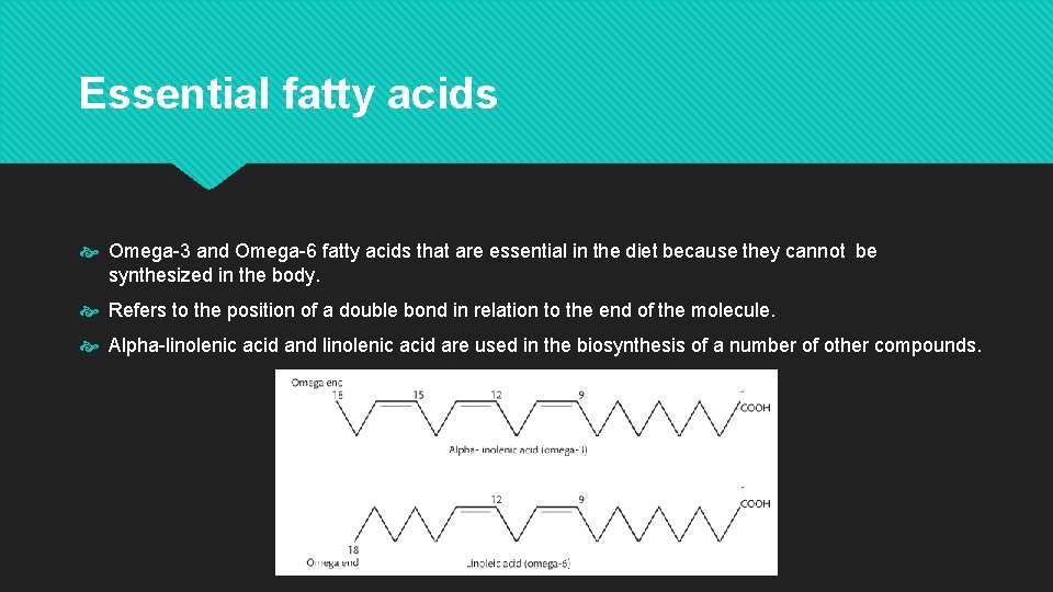 Essential fatty acids Omega-3 and Omega-6 fatty acids that are essential in the diet