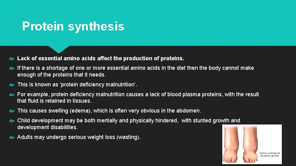 Protein synthesis Lack of essential amino acids affect the production of proteins. If there