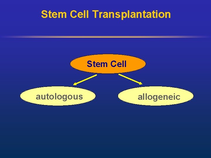 Stem Cell Transplantation Stem Cell autologous allogeneic 
