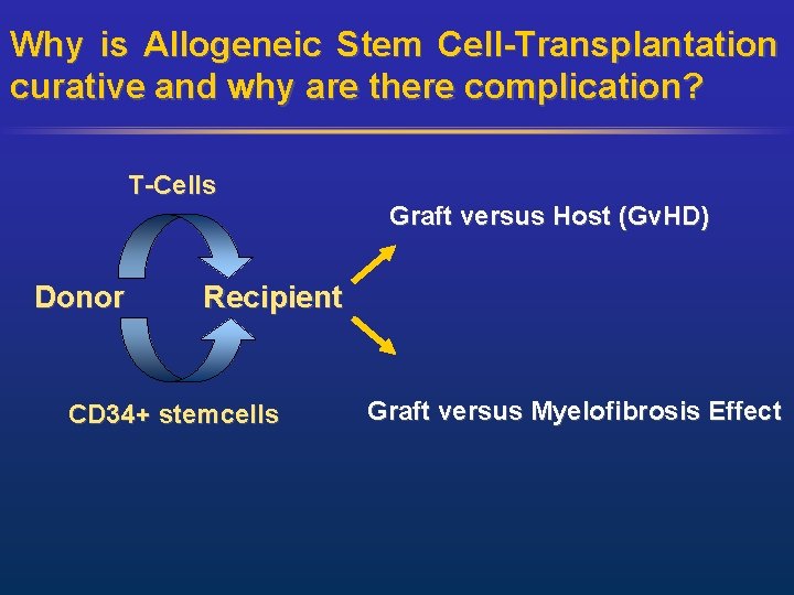 Why is Allogeneic Stem Cell-Transplantation curative and why are there complication? T-Cells Graft versus