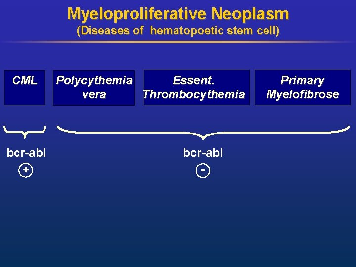 Myeloproliferative Neoplasm (Diseases of hematopoetic stem cell) CML bcr-abl + Polycythemia Essent. vera Thrombocythemia