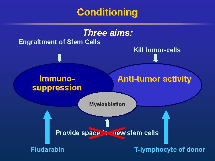 Conditioning Three aims: Engraftment of Stem Cells Kill tumor-cells Immunosuppression Anti-tumor activity Myeloablation Provide