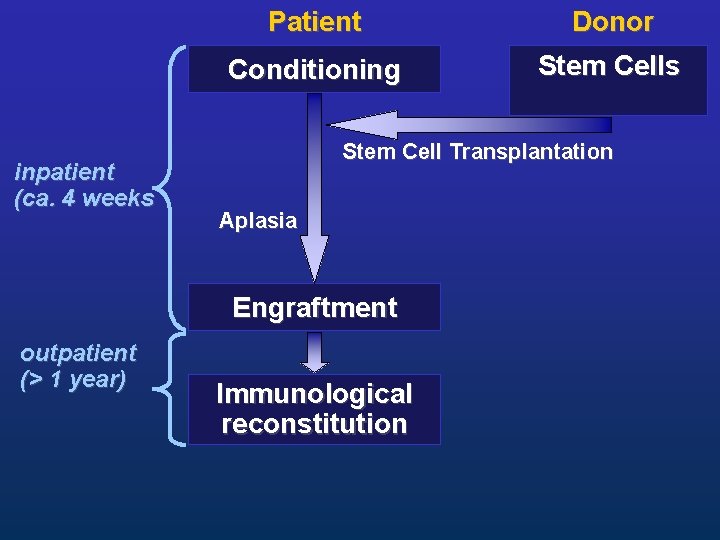 inpatient (ca. 4 weeks Patient Donor Conditioning Stem Cells Stem Cell Transplantation Aplasia Engraftment