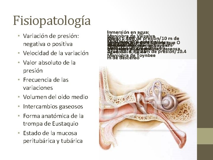 Fisiopatología • Variación de presión: negativa o positiva • Velocidad de la variación •