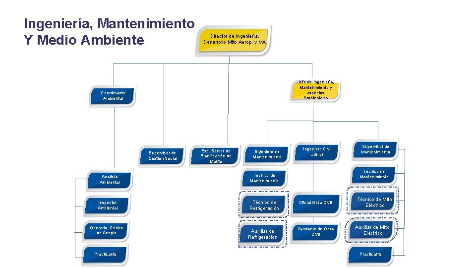 Ingeniería, Mantenimiento Y Medio Ambiente Director de Ingeniería, Desarrollo Mtto Aerop. y MA Jefe