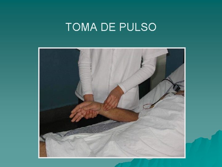 TOMA DE PULSO 