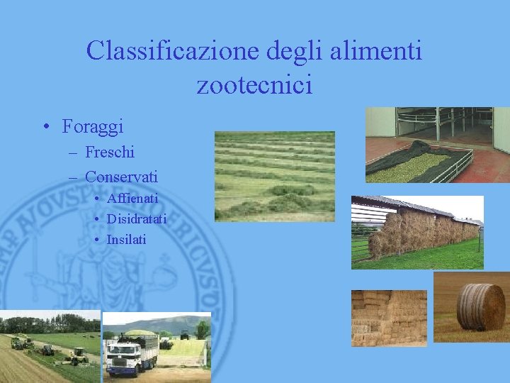 Classificazione degli alimenti zootecnici • Foraggi – Freschi – Conservati • Affienati • Disidratati