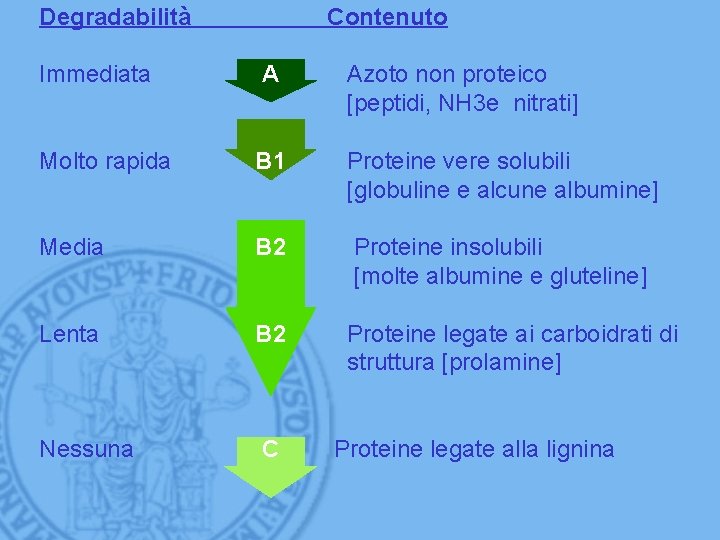 Degradabilità Contenuto Immediata A Azoto non proteico [peptidi, NH 3 e nitrati] Molto rapida