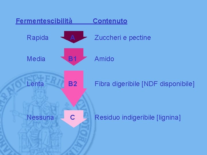 Fermentescibilità Contenuto Rapida A Zuccheri e pectine Media B 1 Amido Lenta B 2