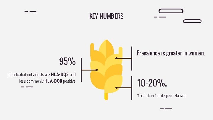 KEY NUMBERS 95% of affected individuals are HLA-DQ 2 and less commonly HLA-DQ 8