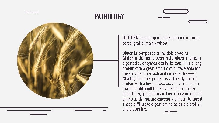 PATHOLOGY GLUTEN is a group of proteins found in some cereal grains, mainly wheat.