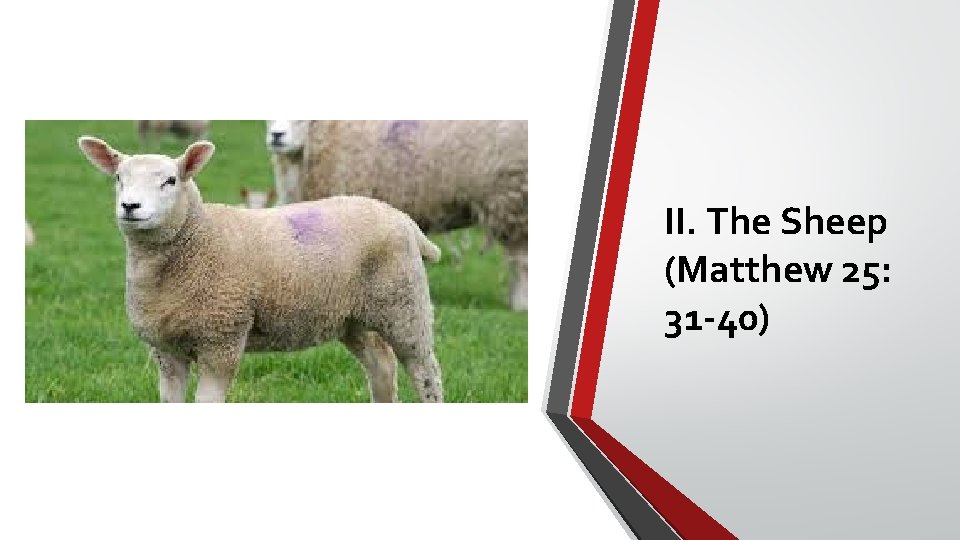 II. The Sheep (Matthew 25: 31 -40) 