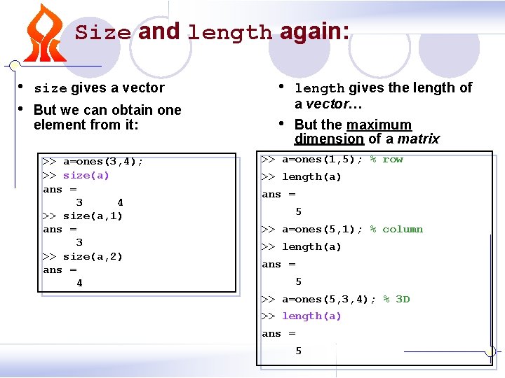 Size and length again: • • size gives a vector • But we can Size and length again: • • size gives a vector • But we can