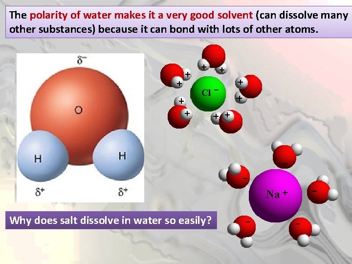 The polarity of water makes it a very good solvent (can dissolve many other
