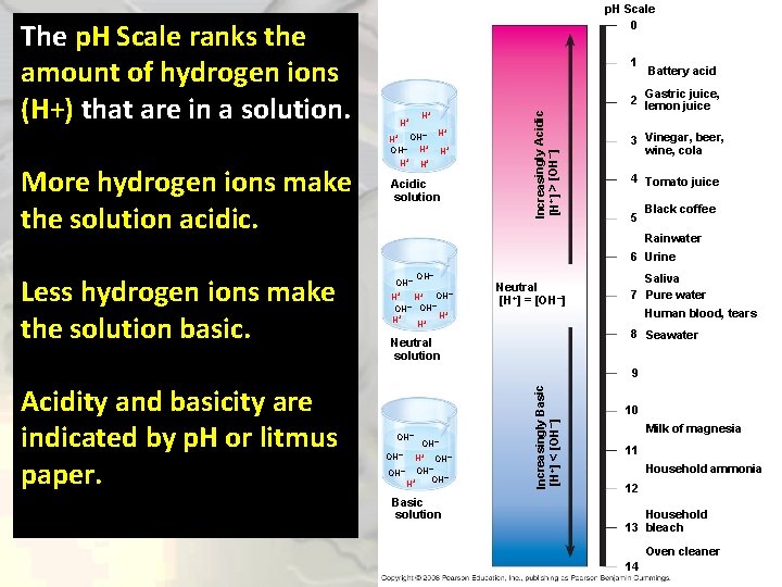 1 H+ H+ – More hydrogen ions make the solution acidic. H+ OH OH–